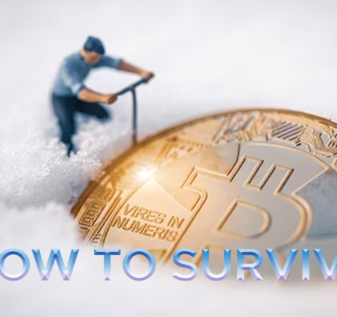 Crypto Winters: What Are They and How To Survive in Them?